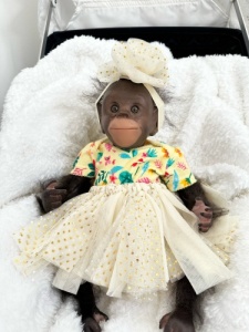 Reborn Monkey Chimpanzee